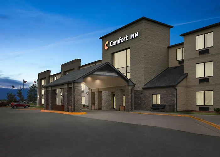 Comfort Inn Metro Airport Romulus